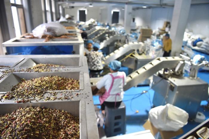 拼多多陳磊 繼續重倉農業農研，堅定投入長期價值
