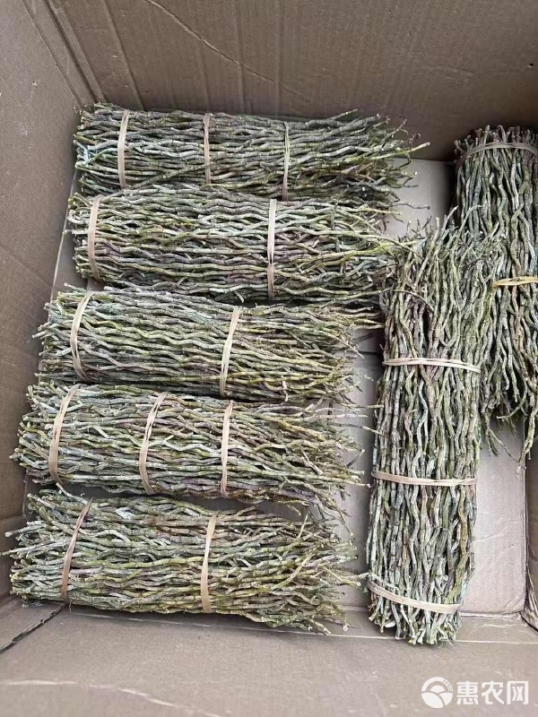 鐵皮石斛 膠質好、干貨打粉、泡水，你不知道的初級農產品秘密